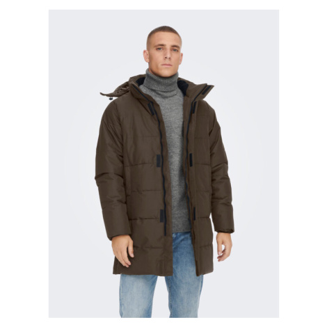 Only & Sons Zimné bundy 22020156 Hnedá Regular Fit