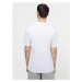 Pánske tričko s krátkym rukávom VANS OFF THE WALL BOARD TEE-VN000FSB B White