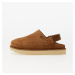 UGG W Goldenstar Clog Chestnut