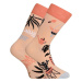 Veselé ponožky Dedoles Izbové rastliny (GMRS233) S