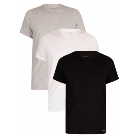 Calvin Klein 3 PACK - pánske tričko Regular Fit NB4011E-MP1 S