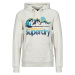 Superdry  HOODED GREAT OUTDOORS  Mikiny Béžová