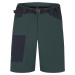 Hannah VERNE green gables/anthracite men's shorts