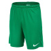 Nike DRI-FIT PARK 3 Pánske kraťasy, zelená, veľkosť