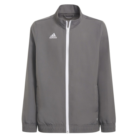 ADIDAS PERFORMANCE Športová bunda 'Entrada 22 Presentation'  sivá / biela