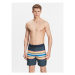 Quiksilver Plavecké šortky Everyday EQYBS04791 Farebná Regular Fit