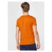 GANT Tričko  oranžová / svetlozelená / tmavooranžová / biela