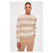 Trendyol Beige Regular Crew Neck Striped Knitwear Sweater