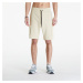 Šortky The North Face Icons Cargo Shorts Gravel