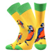 Lonka Doble mix Dámske vzorované ponožky - 1-3 páry BM000000567900101919 mix H