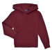 Polo Ralph Lauren  LS PO HOOD-TOPS-KNIT  Mikiny Bordová