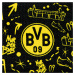 Borussia Dortmund peračník colour