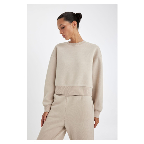 DEFACTO Boxy Fit Crew Neck Thick Basic Sweatshirt