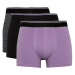 DEFACTO Regular Fit 3-Pack Boxer