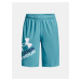 Under Armour Shorts UA Prototype 2.0 Logo Shorts-BLU - Boys