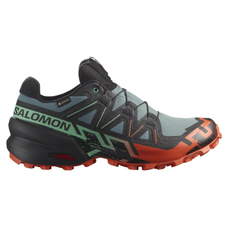 Salomon Speedcross 6 GTX