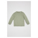 DEFACTO Baby Boy Mint Crew Neck Basic Plain Knit Sweater