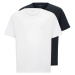 Hugo Boss 2 PACK - pánske tričko BOSS Regular Fit PLUS SIZE 50475287-461 4XL