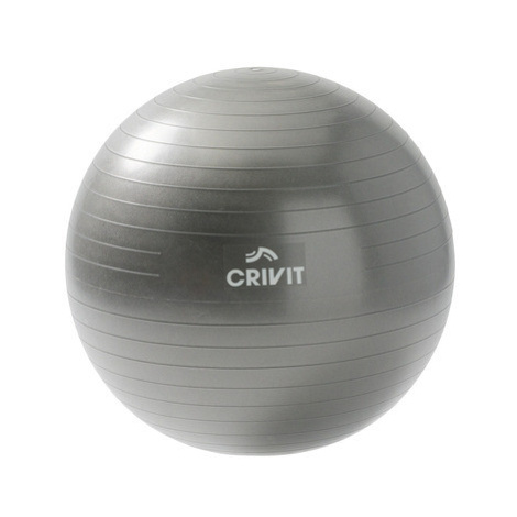 CRIVIT Gymnastická lopta (65 cm)