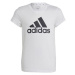 Tričko adidas Big Logo Tee Jr IC6121 164 cm