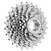 SRAM PG-1170 Kazeta 11-Speed 11-26T