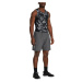 Under Armour UA Woven Wdmk Shorts M 1383356-025