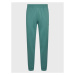Kaotiko Teplákové nohavice AL007-03-G002 Zelená Regular Fit