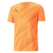 Puma INDIVIDUALRISE GRAPHIC TEE Pánske tričko, oranžová, veľkosť