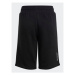 Adidas Športové kraťasy Adicolor Shorts IC6246 Čierna Regular Fit