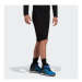 Adidas Športové kraťasy Terrex Zupahike Hiking Shorts H55930 Čierna Regular Fit