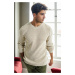 18369 Dewberry Knitwear Mens Sweater-BEIGE