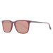 Hackett Sunglasses