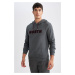 DEFACTO Men's Gray Regular Fit Hooded Printed Thick Fabric Sweatshirt