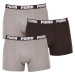 3PACK pánske boxerky Puma viacfarebné (701206546 004)