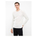 LC Waikiki Crew Neck Long Sleeve Men's Knitwear Sweater