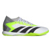 Pánske futbalové kopačky halové ADIDAS Predator Accuracy.3 M IC cloud white core black lucid lem