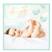 PAMPERS Premium care 3 200 ks