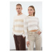 Trendyol Stone Casual Oversize Couple/Double Crew Neck Striped Knitwear Sweater