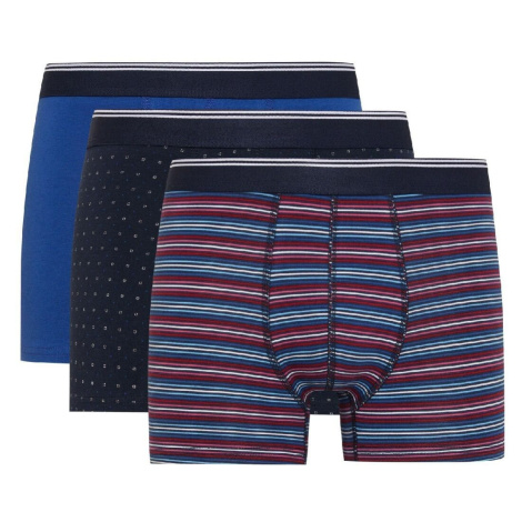 DEFACTO Regular Fit 3-pack Boxer