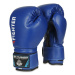 Boxerské rukavice DBX BUSHIDO ARB-407v4 6 oz.