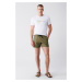 Avva Men's Khaki Quick Dry Standard Size Plain Swimwear Marine Shorts