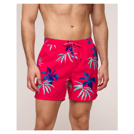 Pánske Boardshortky Quiksilver Everyday Mix Volley 15