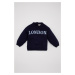 DEFACTO Baby Boy Crew Neck Printed Sweater