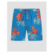 Pánske Boardshortky Quiksilver Everyday Mix Volley 15