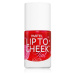 Pastel Lip To Cheek Tint tekutá lícenka na pery a líca odtieň 02 Lolita