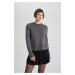 DEFACTO Regular Fit Crew Neck Sweater