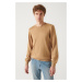 Avva Men's Beige Crew Neck Wool Blended Standard Fit Normal Cut Knitwear Sweater