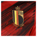 ADIDAS SPORTSWEAR Dres 'RBFA Belgien Home EM 2020'  žltá / červená / čierna
