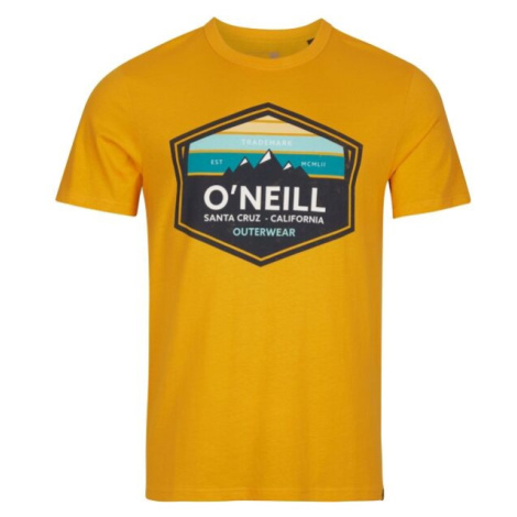 O'Neill MTN HORIZON T-SHIRT Pánske tričko, oranžová, veľkosť