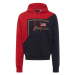 Tommy Jeans Sweatshirt & Sweatjacke  tmavomodrá / zlatá / červená / biela